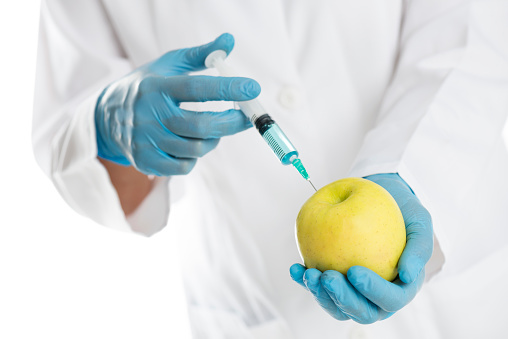 Scientist with blue gloves and lab coat is injecting chemical solution into an green apple.