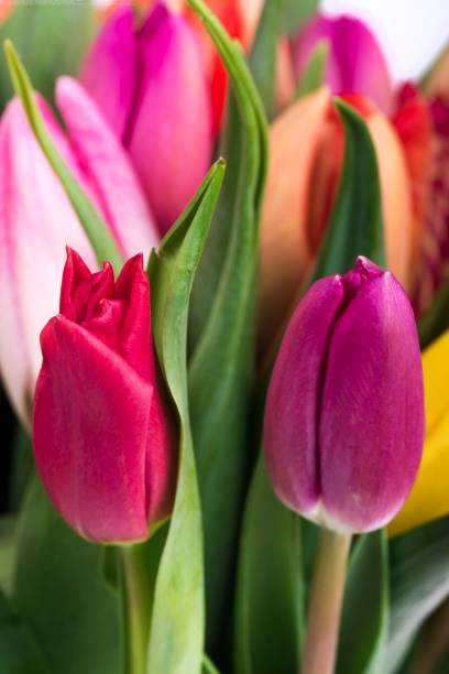 istock Bouquet of colorful tulips 937712372