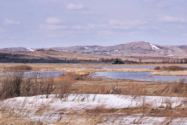 istock Dry grass. Grey sky. Overcast. White snow 937727804