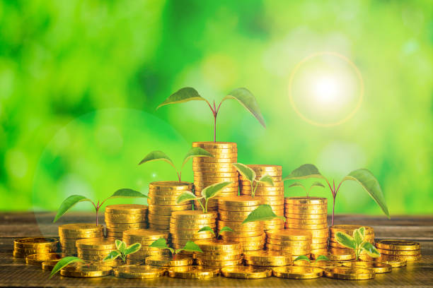 istock gold coins and growing plants 937731976