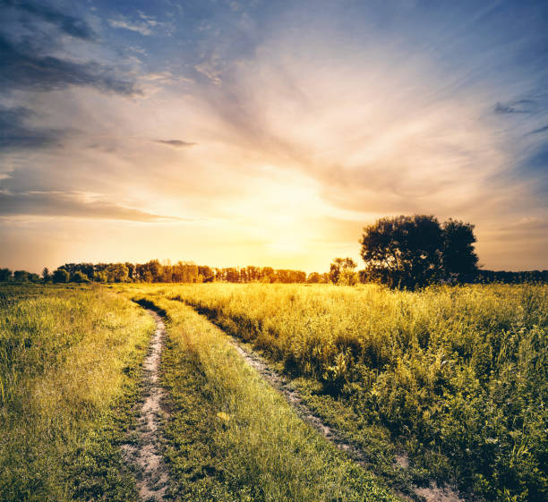 istock Rotate the road in field 937732668