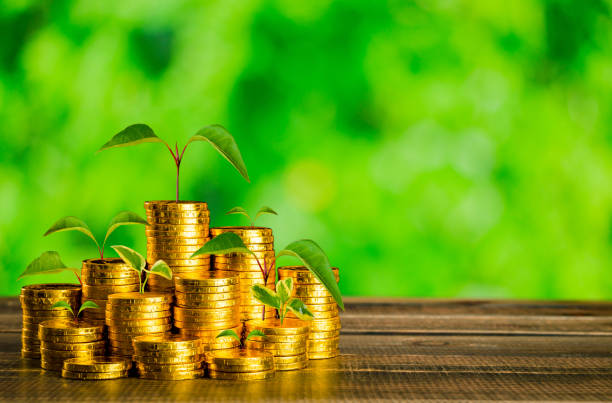 istock gold coins and growing plants 937739328