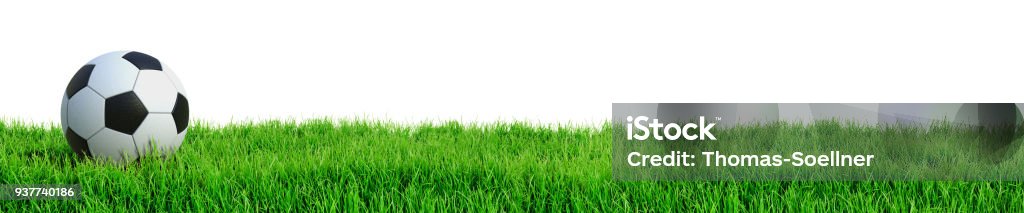 Soccer concept Soccer ball on grass isolated on white background 3D rendering Grass Stock Photo