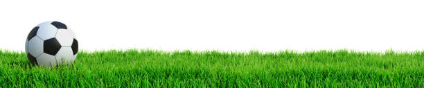 soccer concept - turf white green horizontal imagens e fotografias de stock
