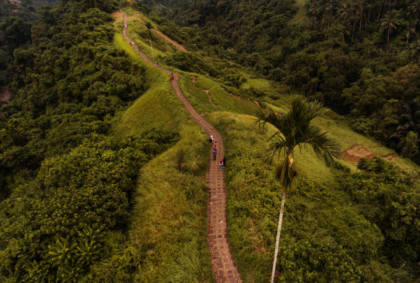 istock Campuhan Ridge Walk in Ubud 937756606
