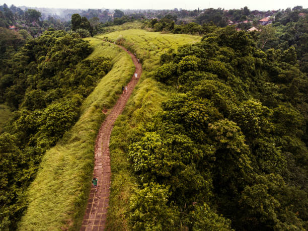 istock Campuhan Ridge Walk in Ubud 937756612