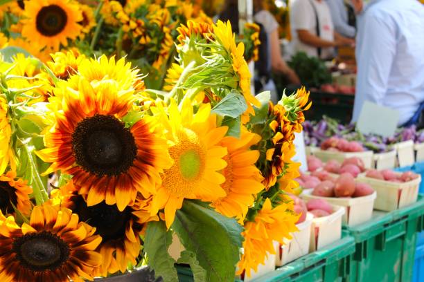 istock Sunflowers at the market 937757176