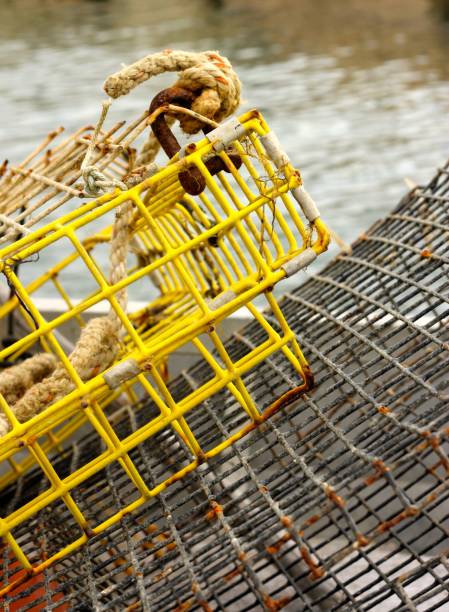 istock Lobster trap up close 937757382