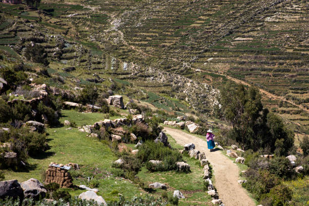 istock Isla del Sol on Titicaca lake 937761202