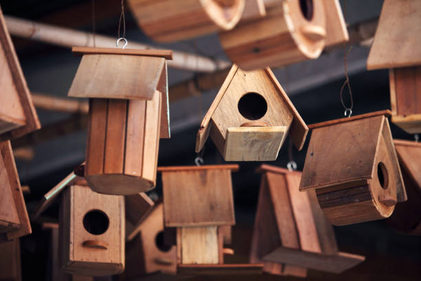 istock background of creative wooden bird house 937763962