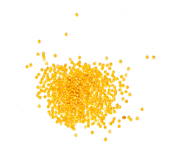 istock millet, millet cereals 937766790