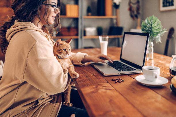 istock Enjoying working with my cat at home 937777124