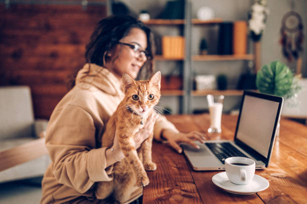 istock Pleasure and business at home 937777422