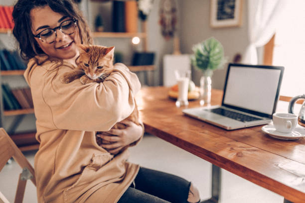 istock Pleasure and business at home 937777478