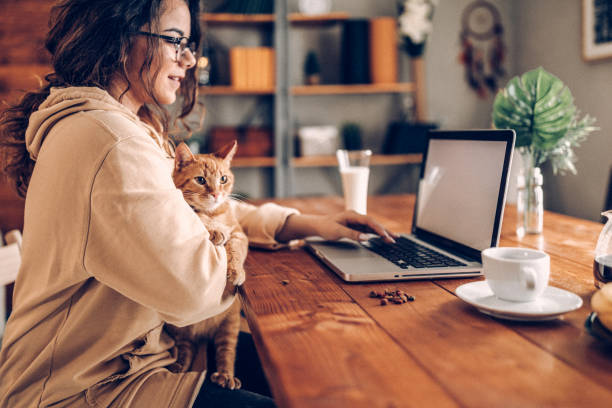 istock Enjoying working with my cat from home 937778272