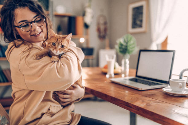 istock Enjoying working with my cat from home 937778330