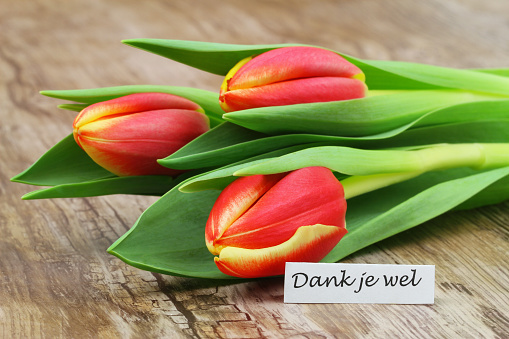 Dank je wel (which means thank you in Dutch) card with red tulips on wooden surface