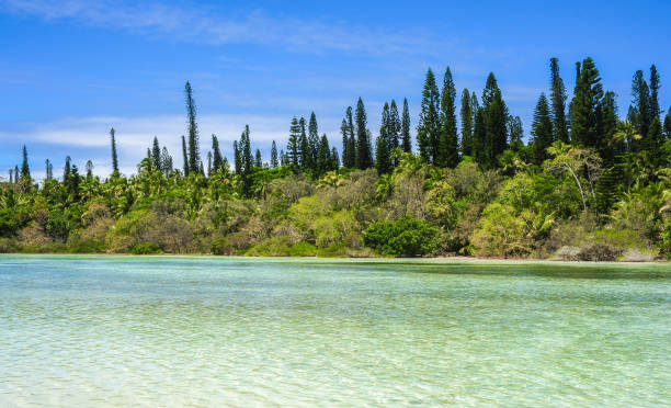 istock Isle of Pines, New Caledonia 937781068