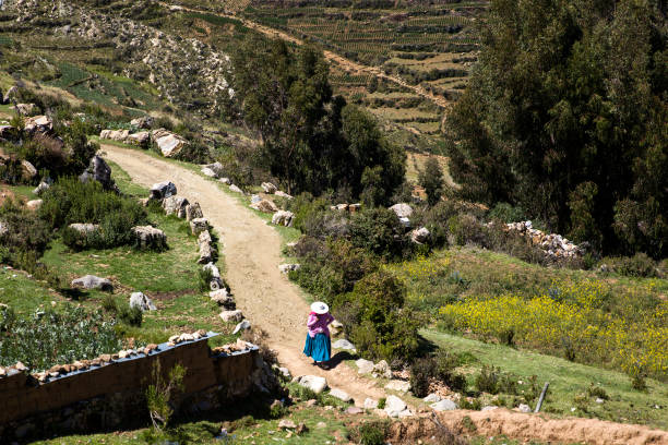 istock Isla del Sol on Titicaca lake 937781322
