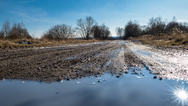 primer plano de la pista off-road con huellas de neumático y reflejo de sol en el charco - mud terrain fotografías e imágenes de stock