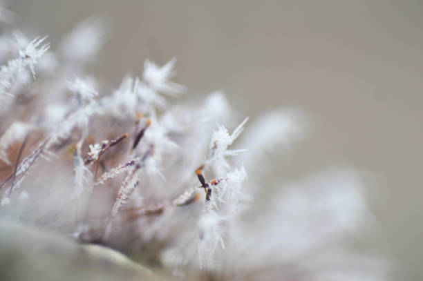 istock Close-Up Of Ice 937786848