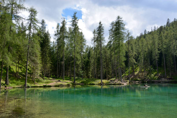 istock The lake in the forest 937787122