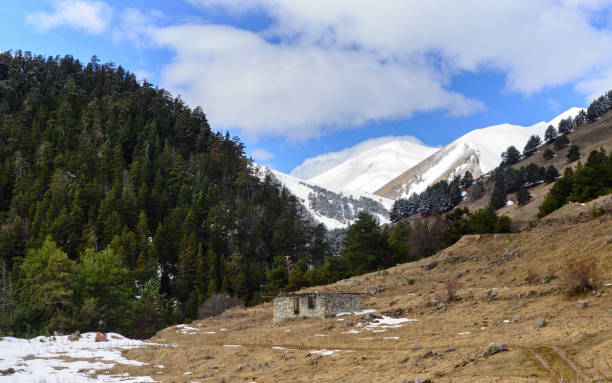 istock aucasian spring mountains with snow peaks, panorama. Dombai, Russia. 937788014