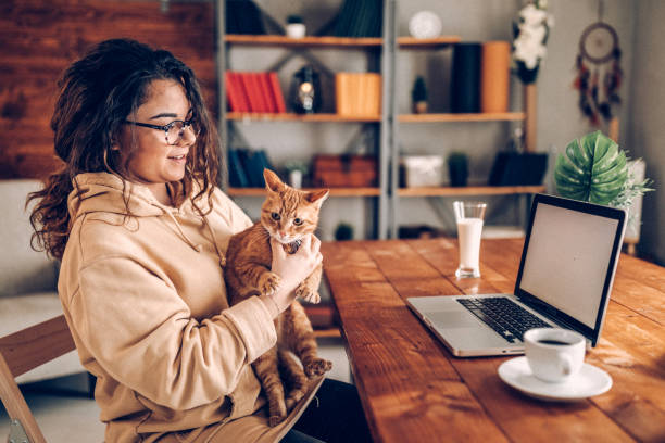 istock Casual work day at home with my cat 937790874