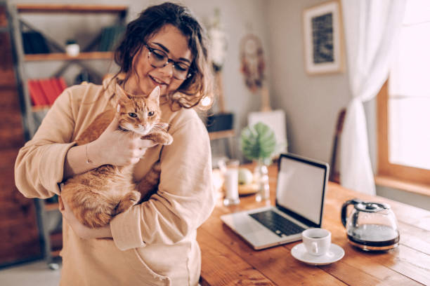 istock Enjoying working with my cat at home 937791078