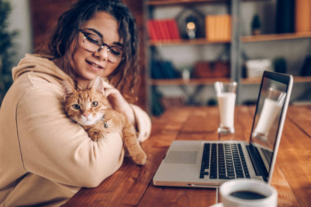 Enjoying working with my cat at home
