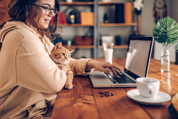 istock Enjoying working with my cat from home 937792024