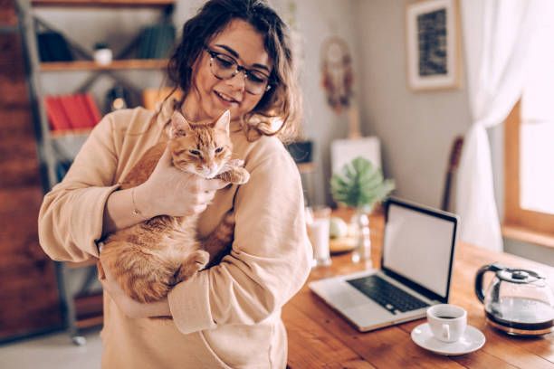 istock Enjoying working with my cat from home 937792280