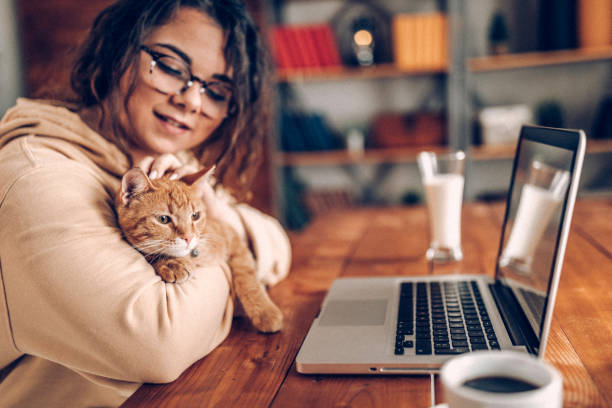 istock It's best for me to work from home 937792826