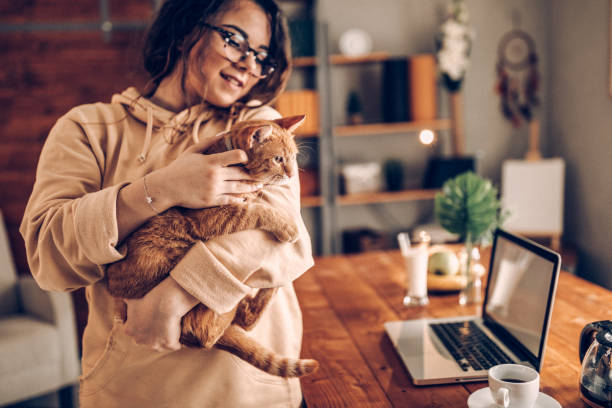 istock Casual work day at home with my cat 937796070
