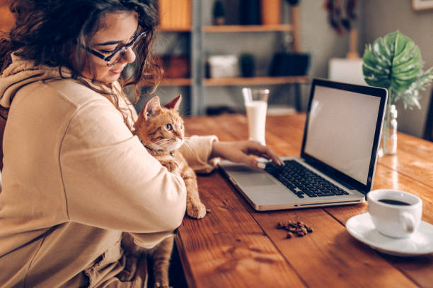 istock Casual work day at home with my cat 937796100