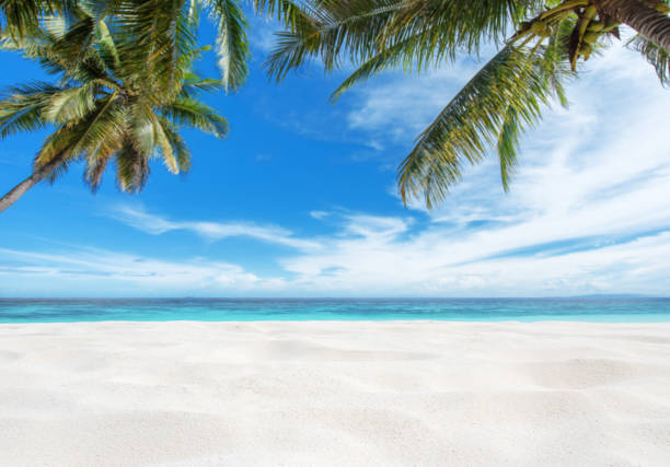 istock Tropical Paradise Sand Beach Copy Space Scene 937796530