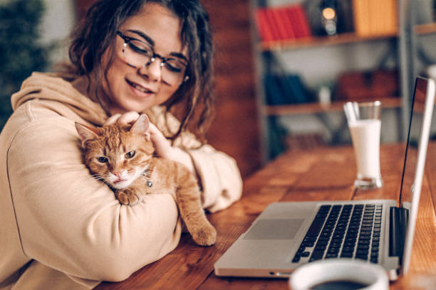 istock Enjoying working with my cat at home 937796568