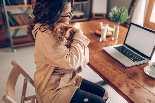 istock Enjoying working with my cat at home 937796618