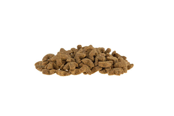 istock Animal food isolated on white background 937797174