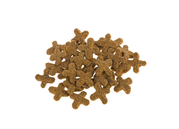 istock Animal food isolated on white background 937797180