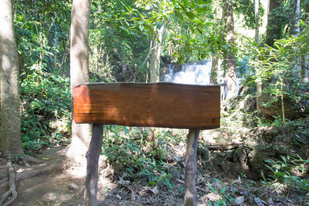 istock old wood label in park 937799748
