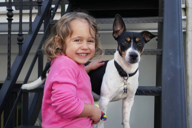 Little cute girl and Jack Russel dog