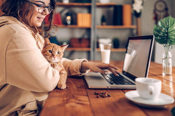 istock Enjoying working with my cat from home 937809436