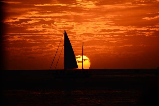 istock The Florida Keys In Winter 937821858