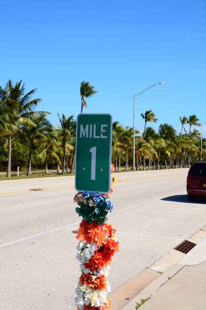 istock The Florida Keys In Winter 937821904