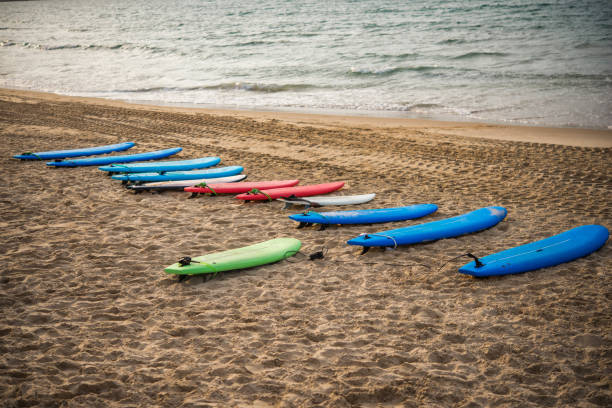istock surfing boards on the beach at the sunset 937833200