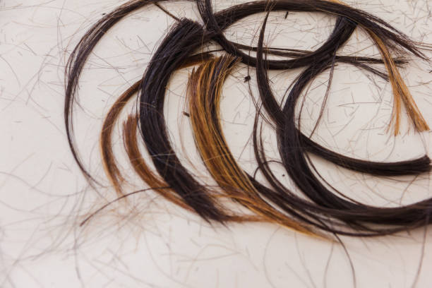 istock hair scrapped on floor after cutting 937840302