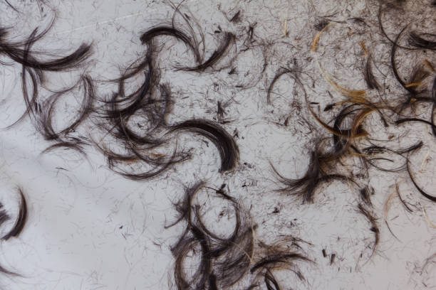 istock hair scrapped on floor after cutting 937840368