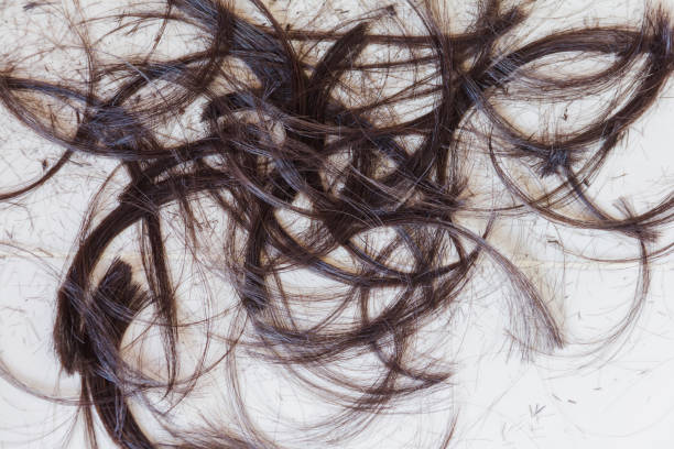 istock hair scrapped on floor after cutting 937840432