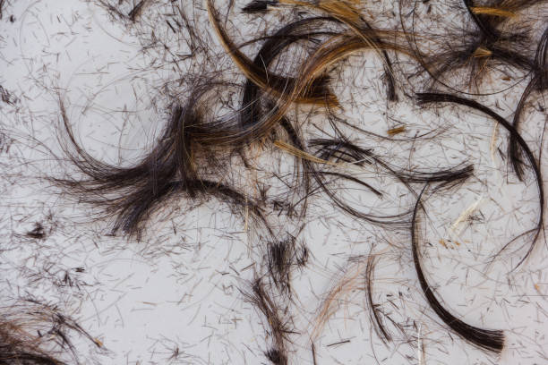 istock hair scrapped on floor after cutting 937840452